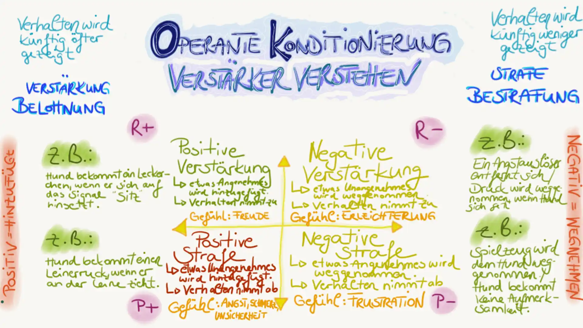 Hundeschule Willenskraft - Operante Konditionierung