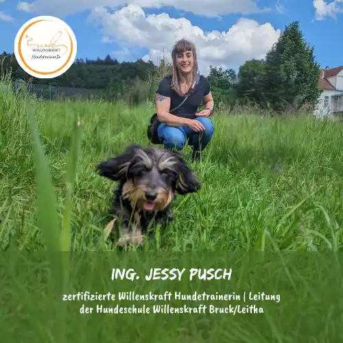 Ing. Jessy Pusch